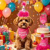 Pet Birthday Party Accessory Set with Bandana, Tutu Skirt & Hat
