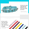 Studded PU Leather Dog Collar with Metal Accents