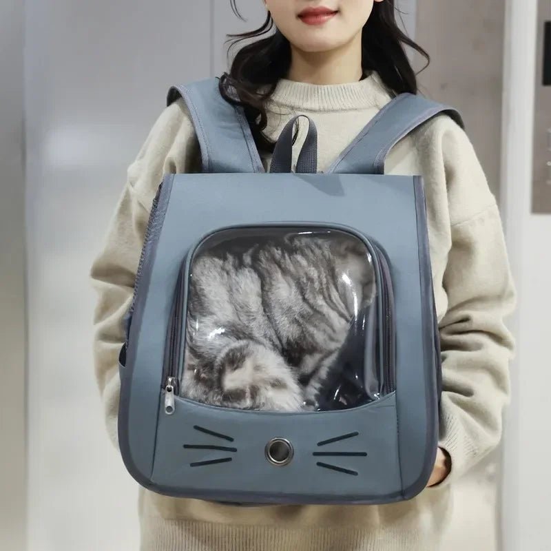 A light blue breathable pet carrier backpack for cats and small dogs worn by a person.