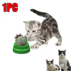 Edible Catnip Wall Balls for Dental Care and Play