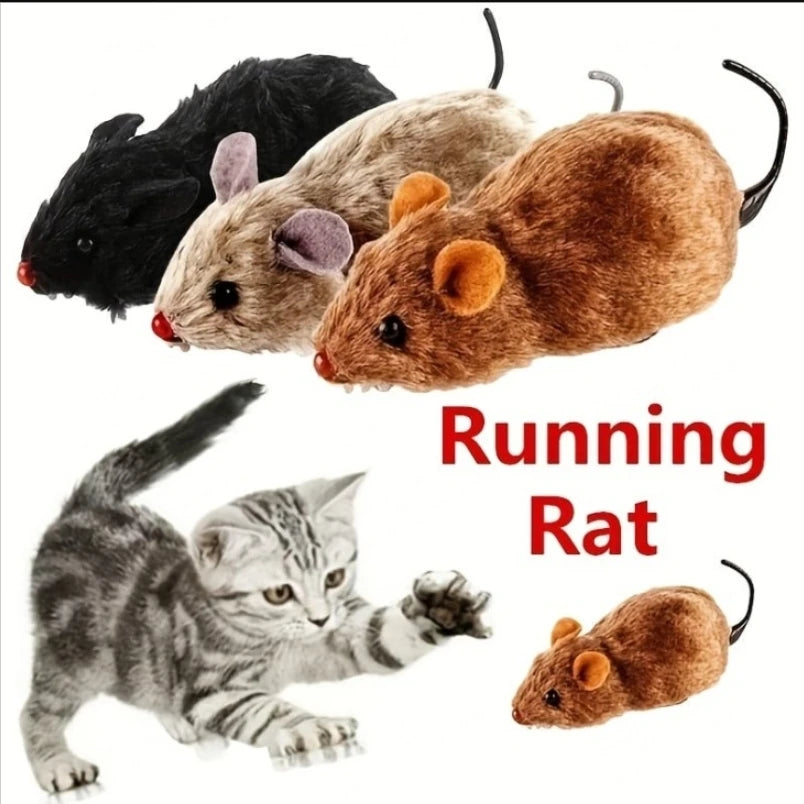 Una colección de ratas de varios tamaños y colores y un gato, incluyendo un juguete de rata que corre.