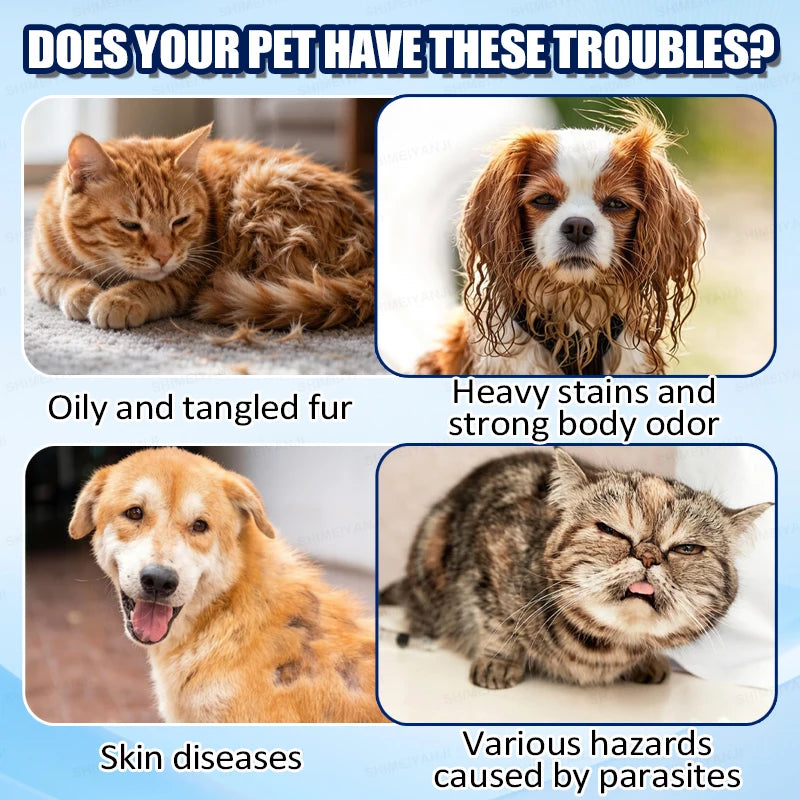 Gentle Hypoallergenic Shampoo & Conditioner Set for Dogs and Cats