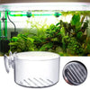 Acrylic Aquarium Plant Cup with Suction Holder