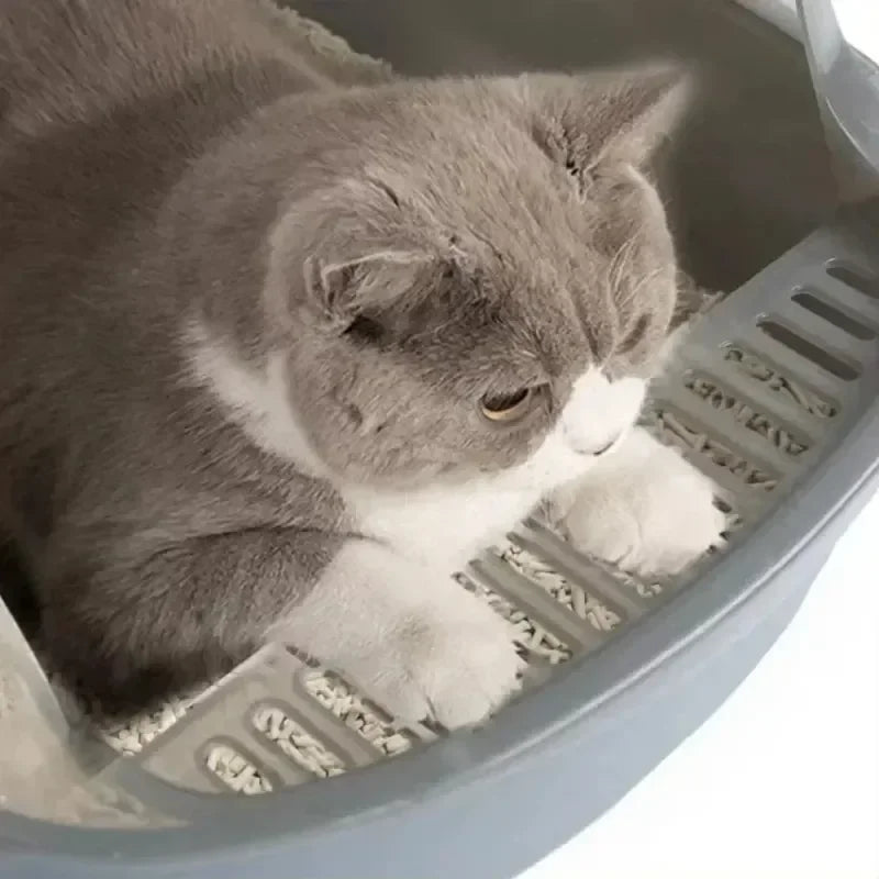 A gray and white cat is looking out of a semi-enclosed splashproof litter box.