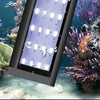 Lampe LED à clipser pour aquarium, fine, idéale pour la croissance des plantes