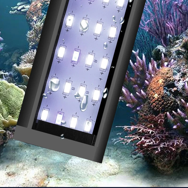 Lampe LED à clipser pour aquarium, fine, idéale pour la croissance des plantes