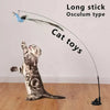 Jouet Interactif pour Chat en Forme de Paon avec Clochette