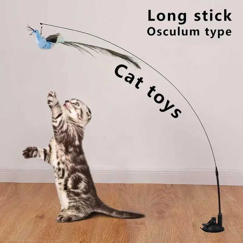 Jouet Interactif pour Chat en Forme de Paon avec Clochette