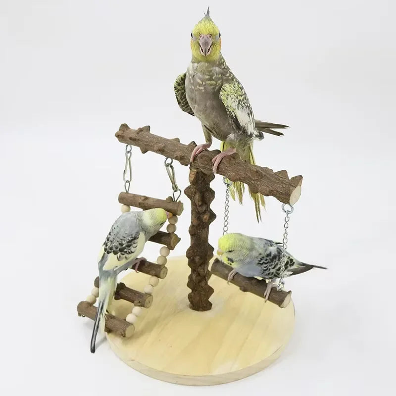 A parrot is perched on a wooden climbing platform and bridge structure.