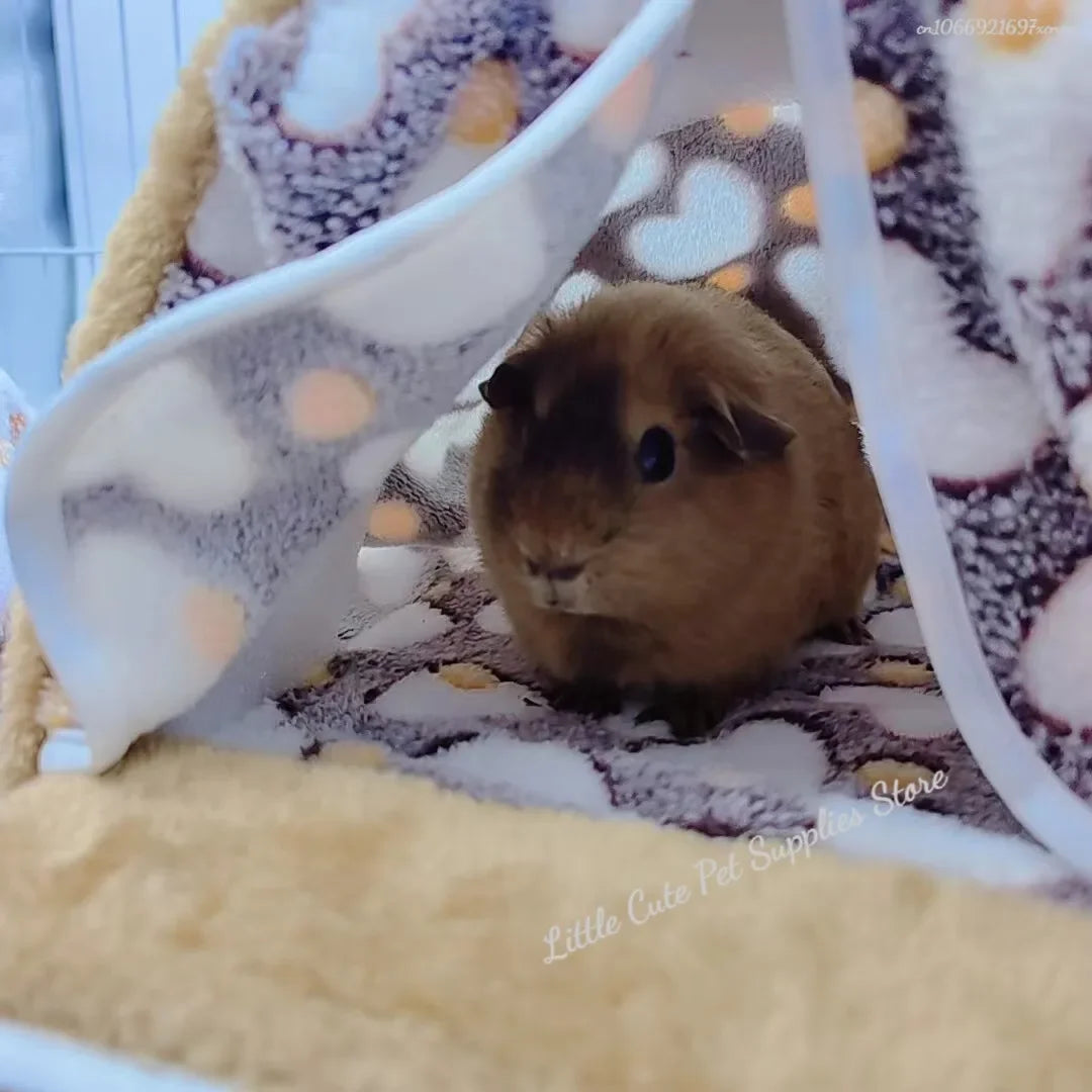 Una pequeña mascota marrón descansa dentro de una hamaca de tela blanca sobre una superficie amarilla y esponjosa.