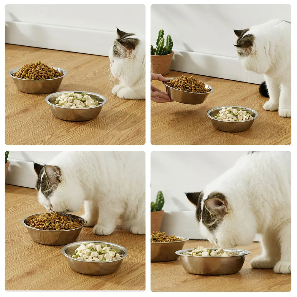 Stainless Steel Pet Food Bowl for Dogs and Cats