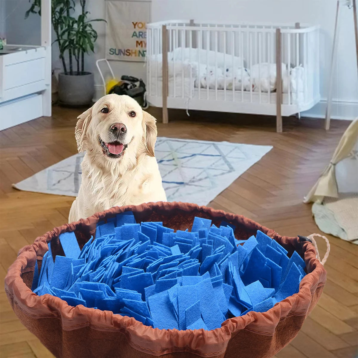 A golden retriever looks at a brown basket filled with blue washable felt pet sniffing pads.