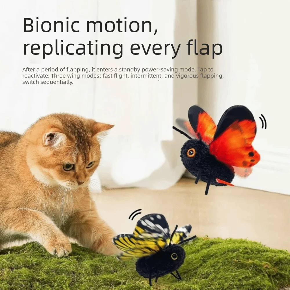 A small orange kitten is looking at a vibrant orange butterfly flying near green moss.