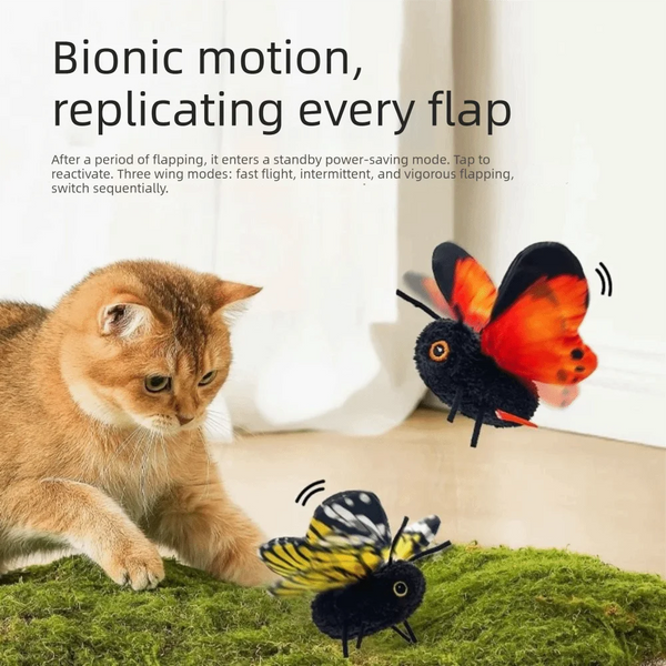 A small orange kitten is looking at a vibrant orange butterfly flying near green moss.
