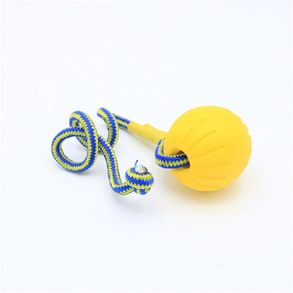 Durable Rubber Fetch Ball for Dogs and Cats
