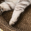 Nid Grattoir en Carton Ondulé pour Chat