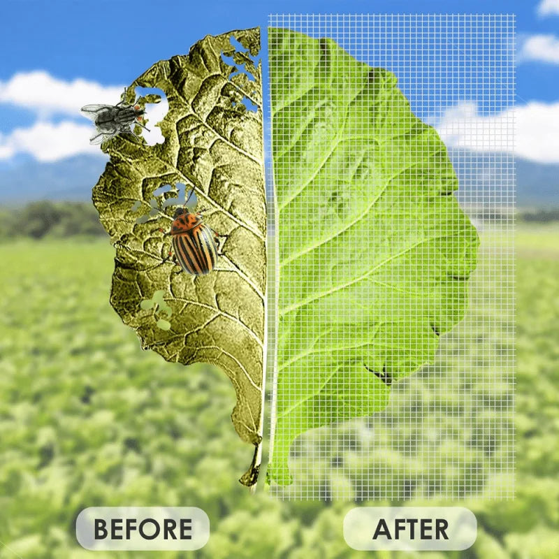 Before and after comparison of a plant leaf showing an insect infestation and subsequent protection with a netting treatment.