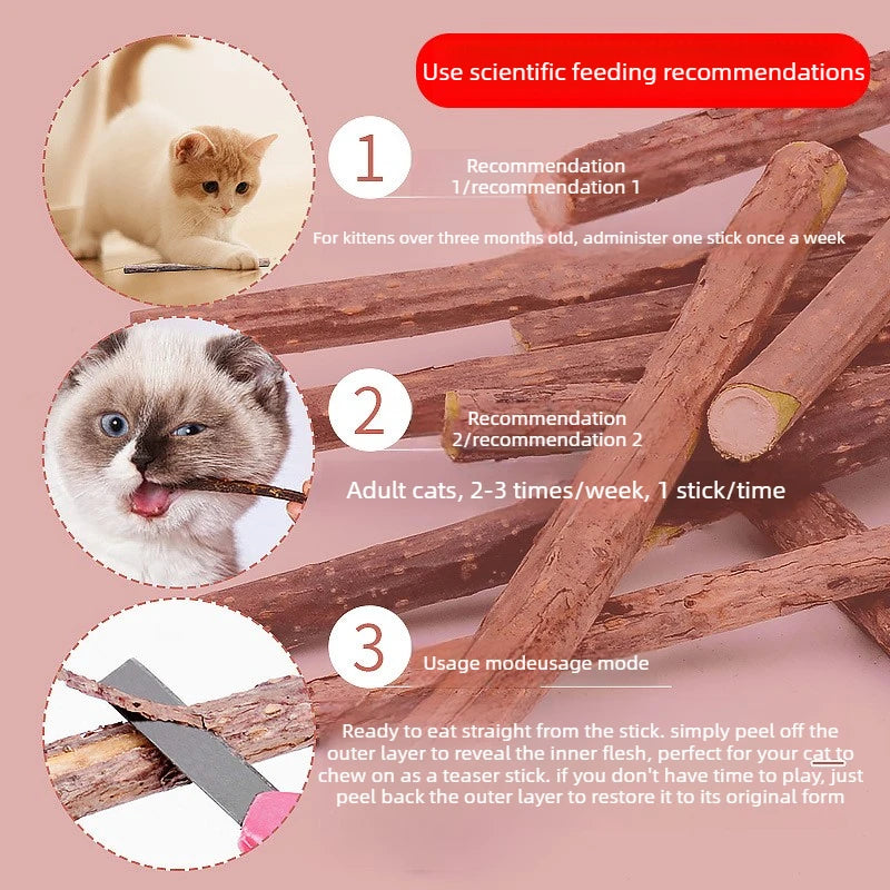 Diagramm mit Anleitungen zur Verwendung natürlicher hölzerner Kaugummisticks für Katzen, einschließlich Fütterungsempfehlunge