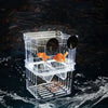 Acrylic Fish Breeding Isolation Box with Double Compartments