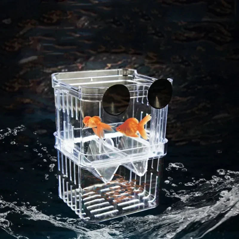 Acrylic Fish Breeding Isolation Box with Double Compartments
