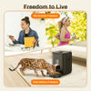Automatic Pet Feeder with Timed Dispenser for Cats and Dogs