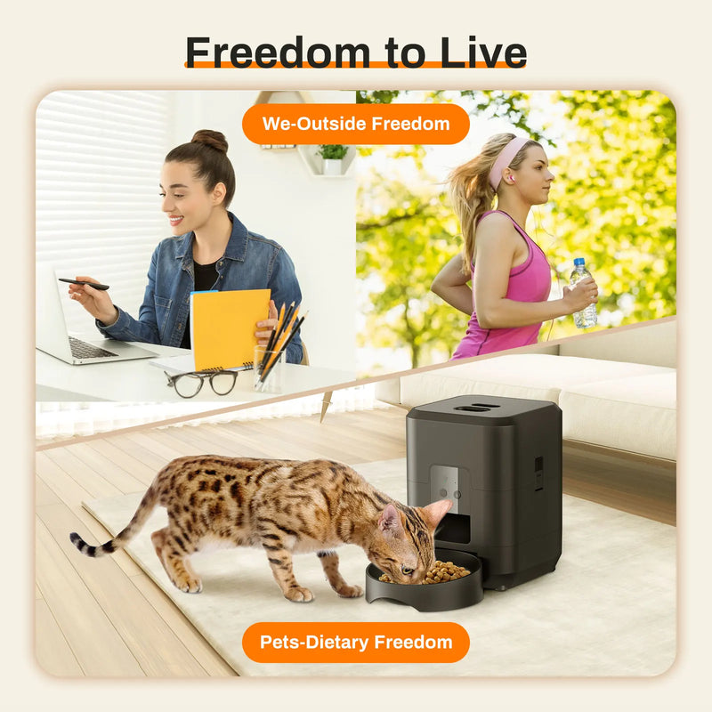 Automatic Pet Feeder with Timed Dispenser for Cats and Dogs