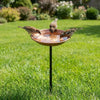 Rustic Iron Bird Feeder with Wide-Mouth Water Basin
