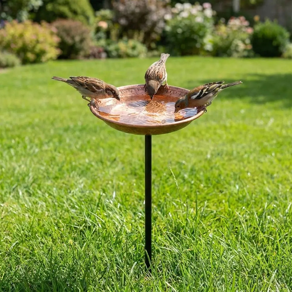 Rustic Iron Bird Feeder with Wide-Mouth Water Basin