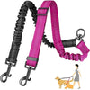 Dual Dog Leash with Shock-Absorbing Bungee (16 ft)
