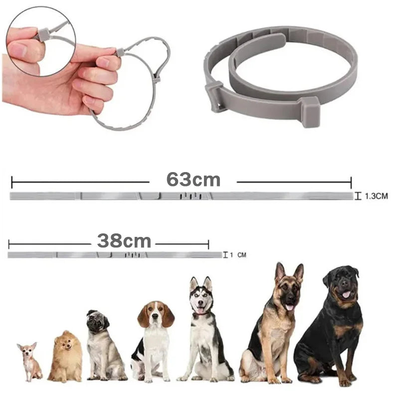 A set of adjustable silicone pet collars and a scale showing various sizes for small dogs and cats.