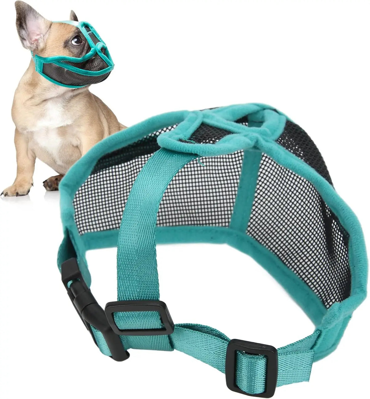 A light brown dog wearing a teal mesh muzzle for training or grooming.
