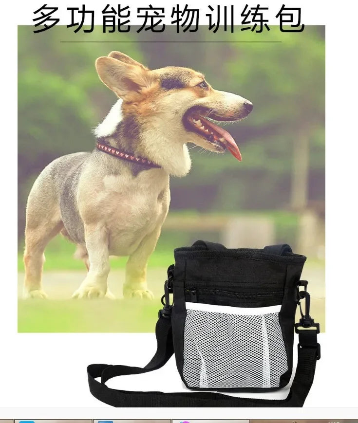 Ein Hund mit Halsband steht neben einer schwarzen Handfreie Trainingstasche für Hunde.