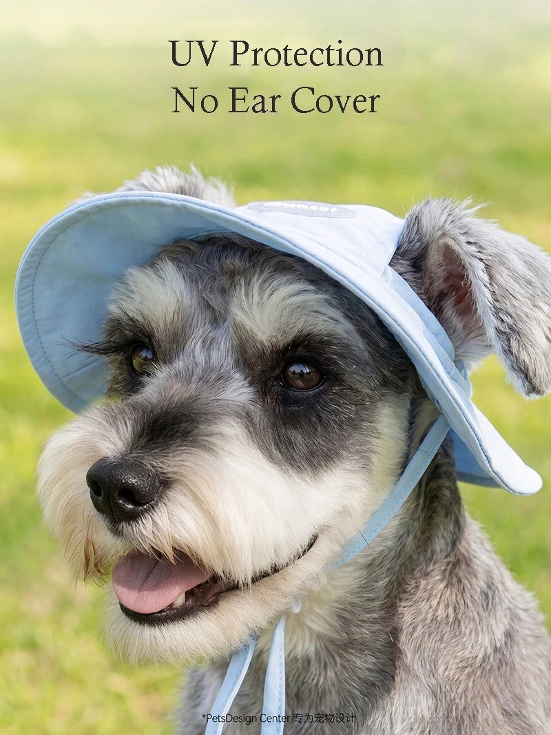 A dog wearing a light blue sun protection cap outdoors.