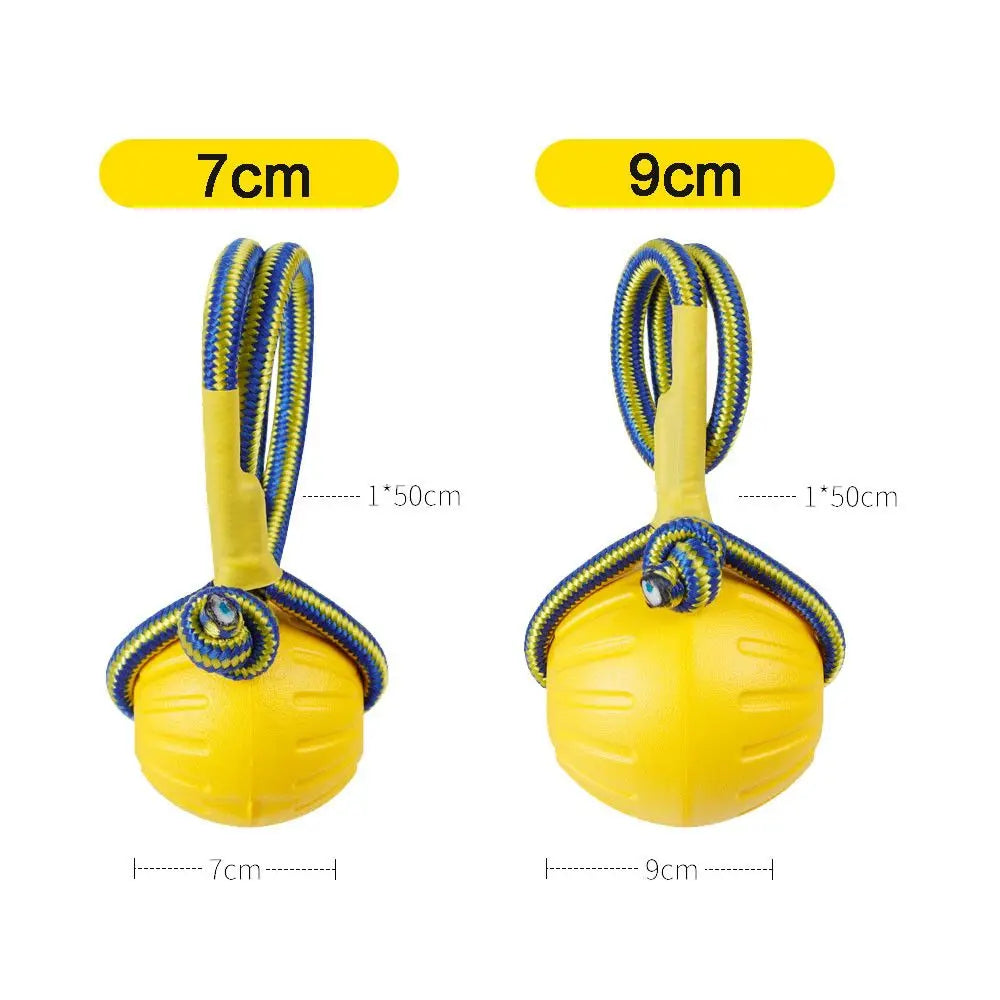Durable Rubber Fetch Ball for Dogs and Cats