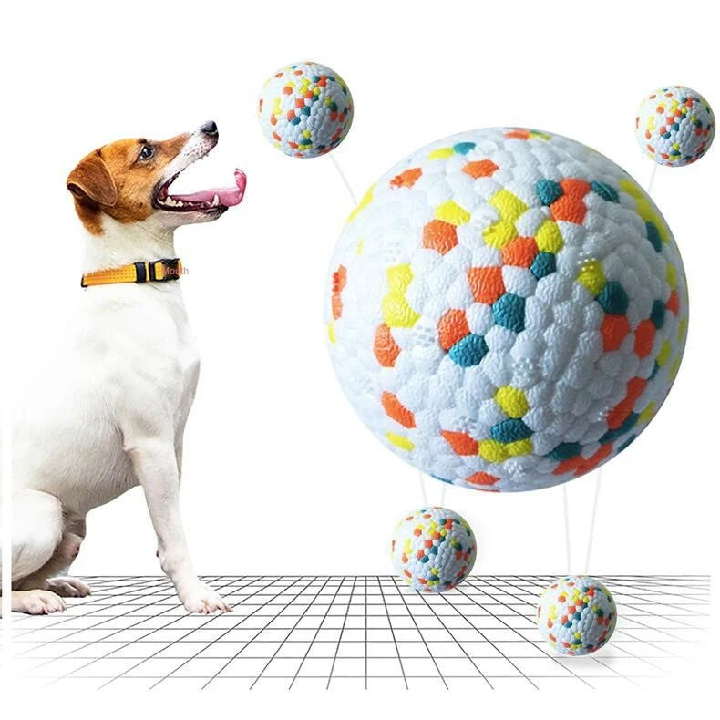 A dog is interacting with several colorful, textured rubber balls, some of which are popcorn-themed.