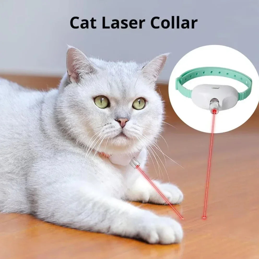 A white cat is interacting with a green laser collar toy for cats.