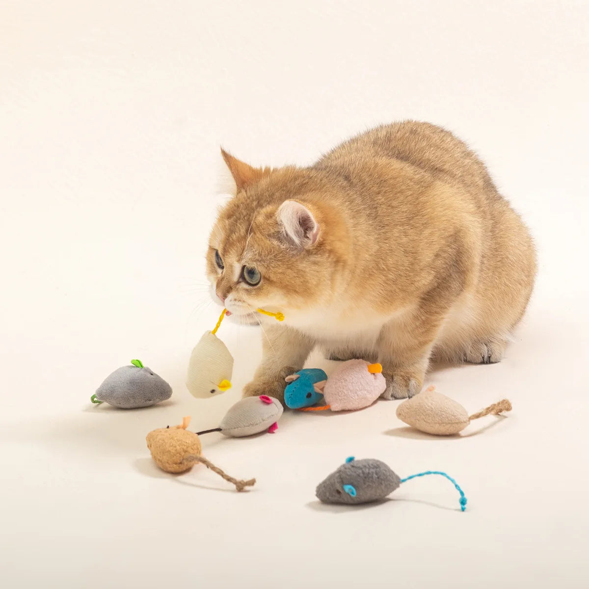 Un petit chaton tigré orange interagit avec plusieurs jouets à la souris colorés et moelleux.