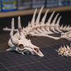 Articulated Dragon Skeleton Aquarium Ornament