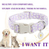 A white adjustable spring dog collar with purple and white floral decoration shown next to a clock face.