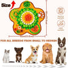 A colorful pet sniffing training blanket designed for dogs, showing various textures and shapes.