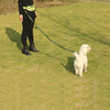 A person is walking a light-colored dog on a green lawn using a long, thin leash.