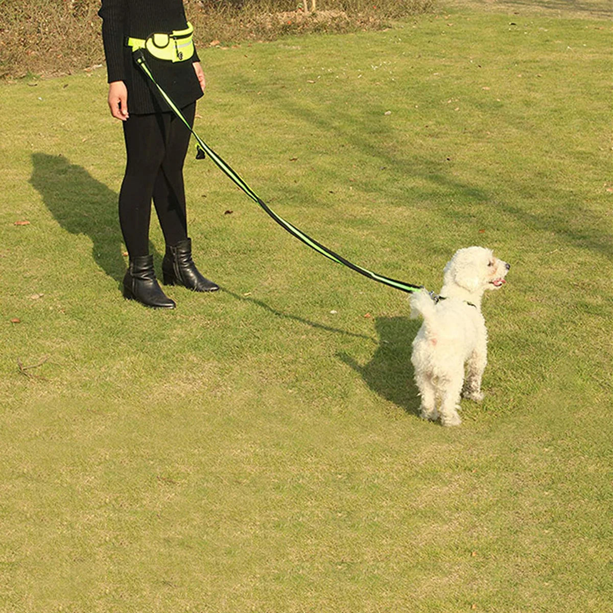 A person is walking a light-colored dog on a green lawn using a long, thin leash.