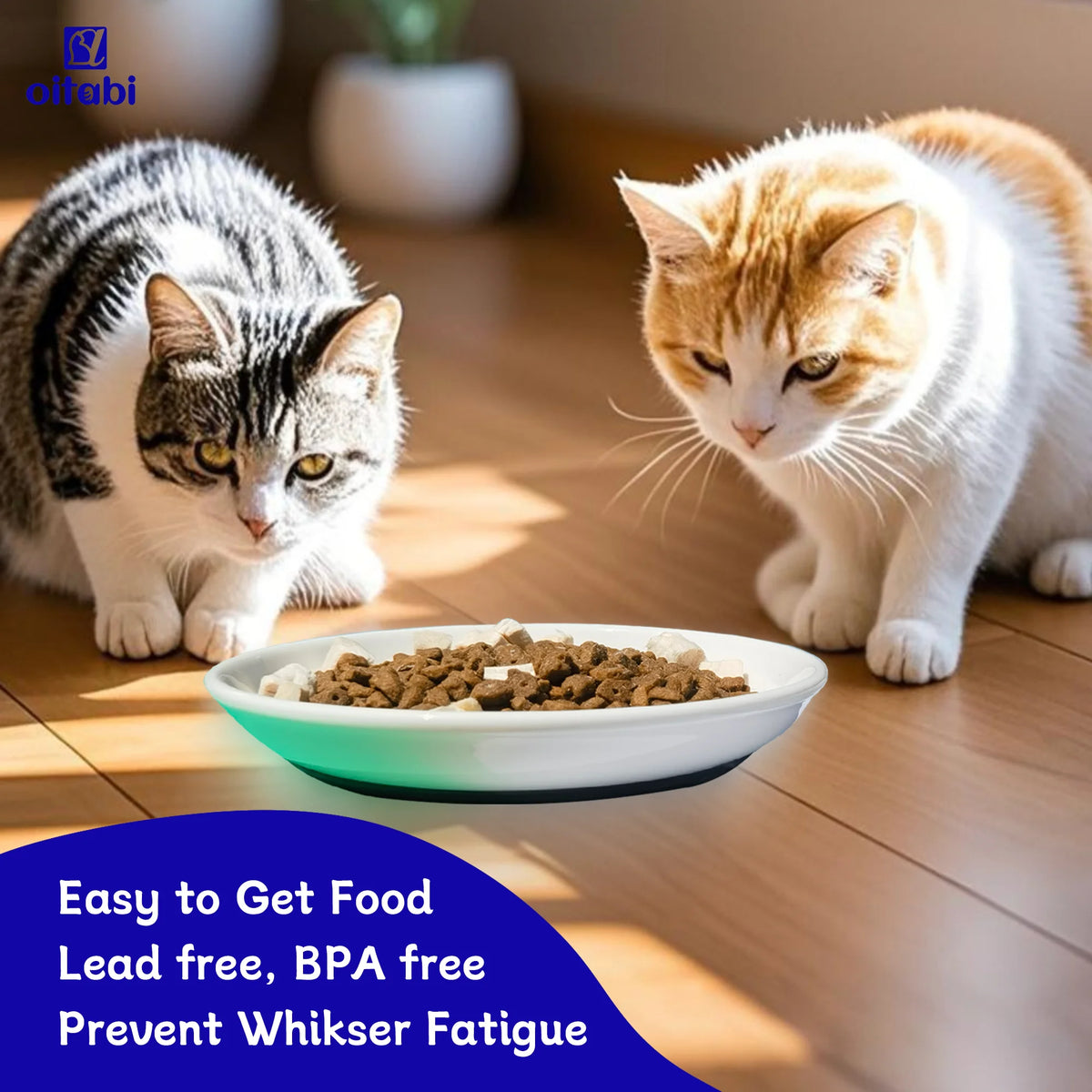 Two cats looking at a ceramic food bowl on a wooden floor with text promoting lead-free BPA-free food for preventing whisker 
