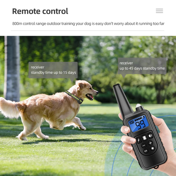 A hand holds a black remote control device used for dog training, with a dog running in the background.