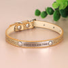 Individuell gravierte Leder-Hundehalsband mit ID-Tag