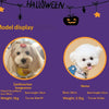Adjustable Halloween Pumpkin Overall Costume for Small Dogs and Cats