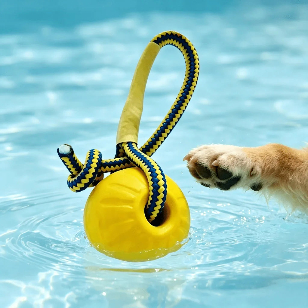 A yellow floating dog fetch toy with a blue and yellow rope is visible in clear blue water.