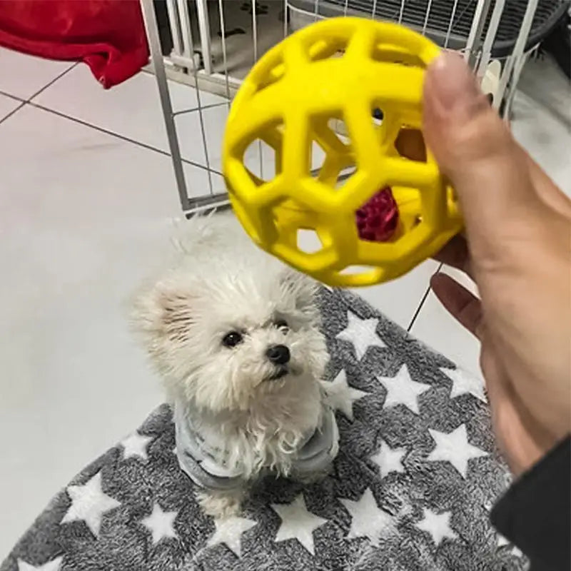 A hand is holding a yellow natural rubber dog chew ball with a bell above a fluffy white dog resting on a gray patterned clot