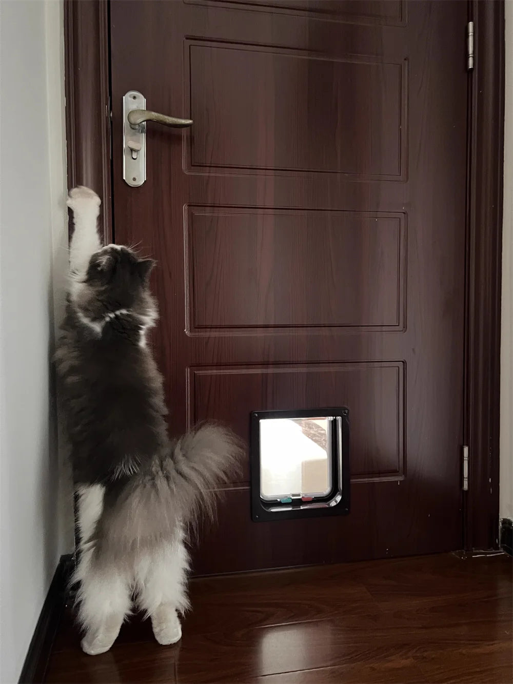 Weatherproof Pet Door Flap with 4-Way Locking Security