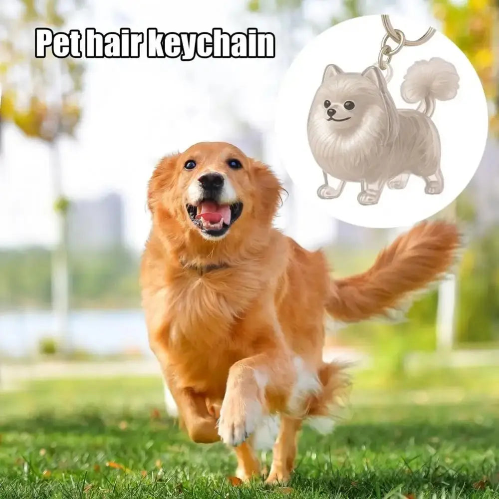 Pet Hair Storage Keychain – Transparent Dog & Cat Fur Keepsake Pendant